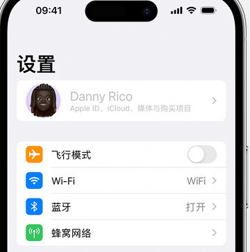 西乡塘appleID维修服务iPhone设置中Apple ID显示为灰色无法使用 