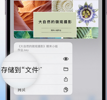 西乡塘apple维修中心分享iPhone文件应用中存储和找到下载文件