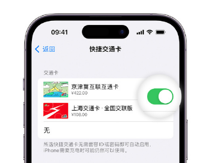 西乡塘apple维修点分享iPhone上更换Apple Pay快捷交通卡手绘卡面 