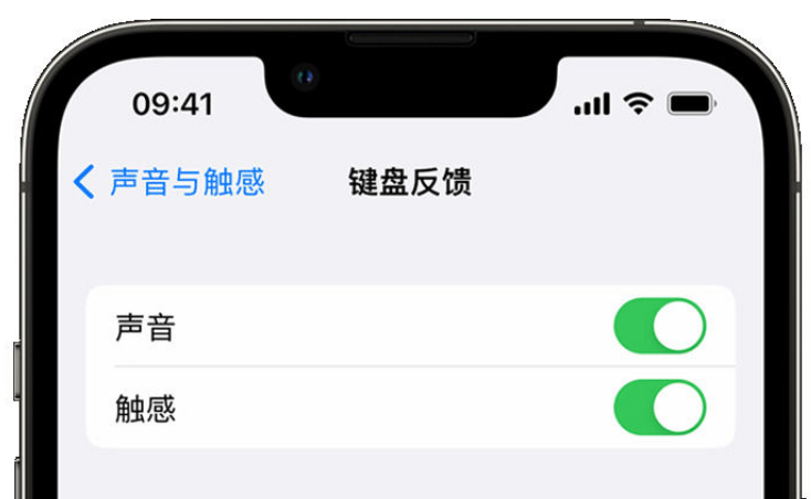 西乡塘苹果手机维修分享iPhone 14触感键盘使用方法 