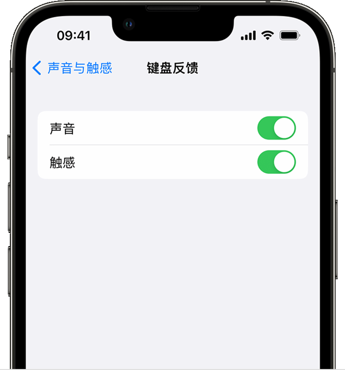 西乡塘苹果14维修店分享如何在 iPhone 14 机型中使用触感键盘 