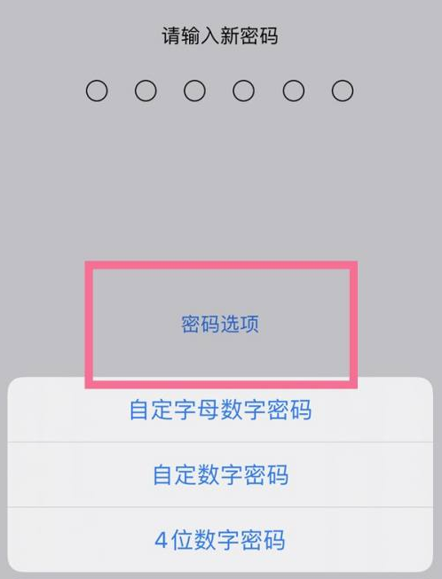 西乡塘苹果14维修分享iPhone 14plus设置密码的方法 