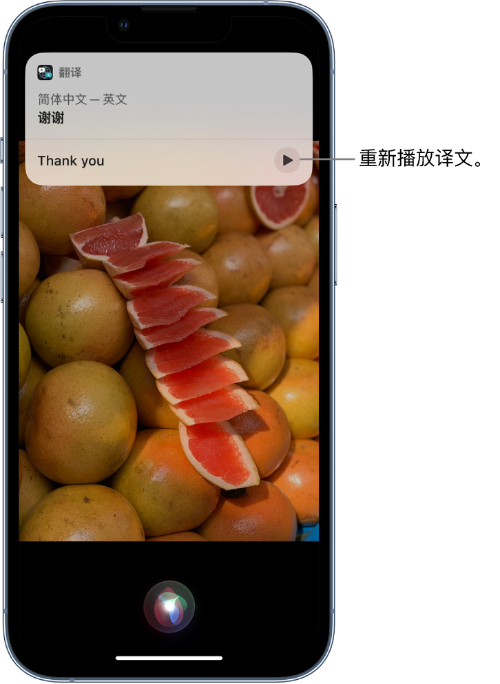 西乡塘苹果14维修分享 iPhone 14 机型中使用 Siri：了解 Siri 能帮你做什么 