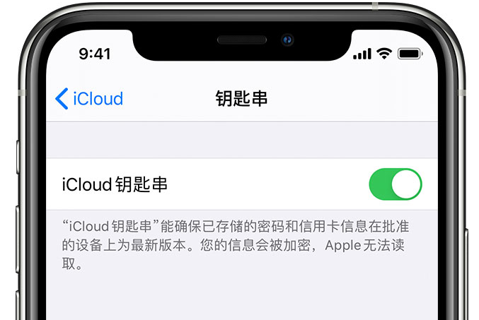 西乡塘苹果手机维修分享在 iPhone 上开启 iCloud 钥匙串之后会储存哪些信息 